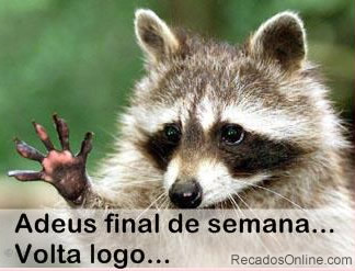 Adeus final de semana... Volta logo...