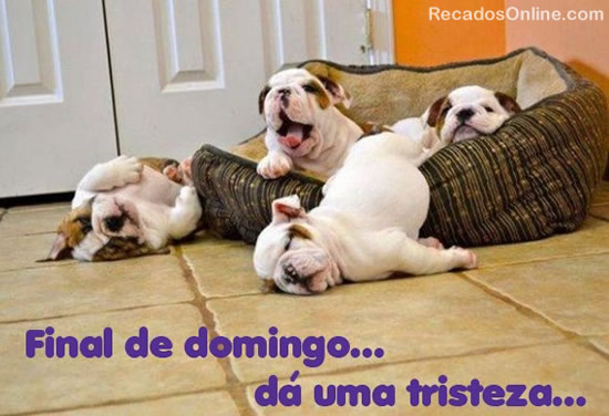 Final de domingo... dá uma tristeza...