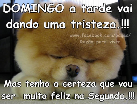 Domingo à tarde vai dando uma tristeza!!! Mas tenho a certeza que vou...