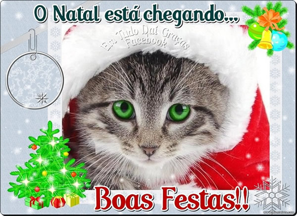 O natal está chegando... Boas festas!