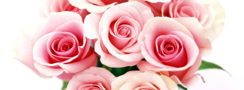 Capa para Facebook de buquê de flores de rosas