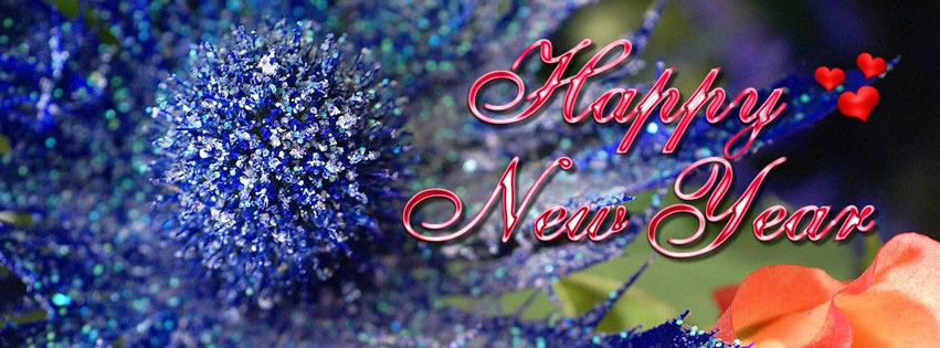 Capa para Facebook de Ano Novo em inglês desejando Happy New Year