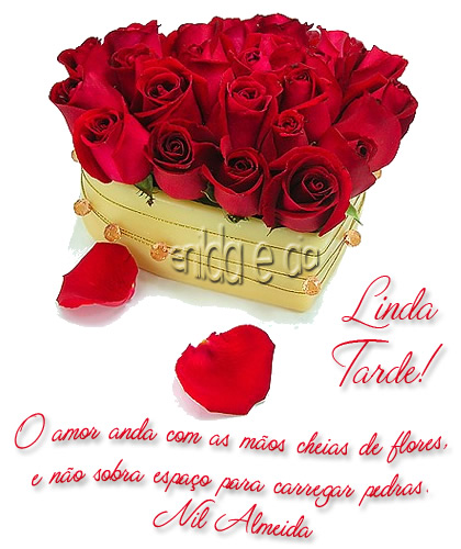 Linda Tarde! O amor anda com as mãos cheias de flores, e não...