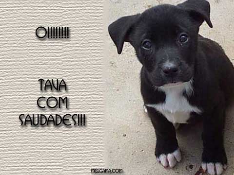 Oi!!! Tava com Saudades!!!