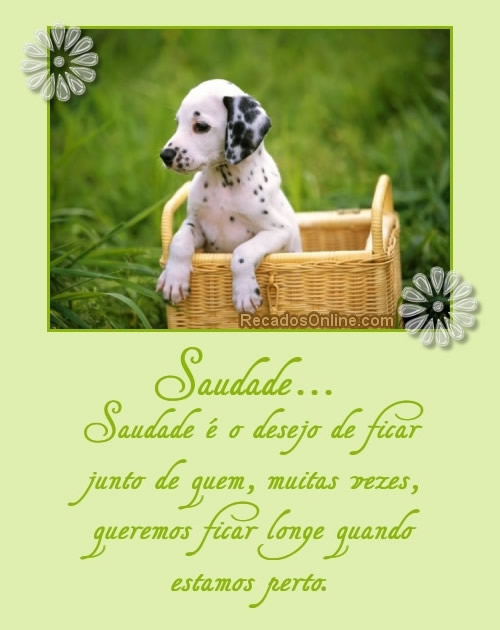 Saudade... Saudade é o desejo de ficar junto de quem, muitas vezes...