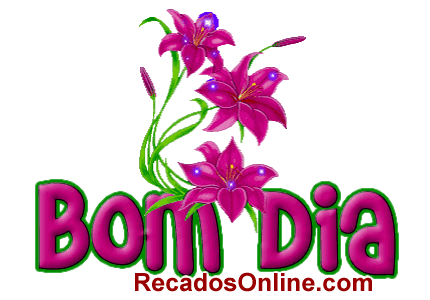Bom Dia imagem 15