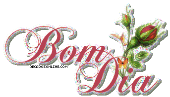 Bom Dia imagem 9