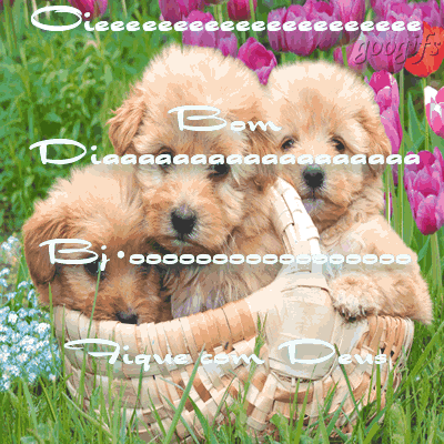 Oie Bom dia, Beijos e fique com Deus.