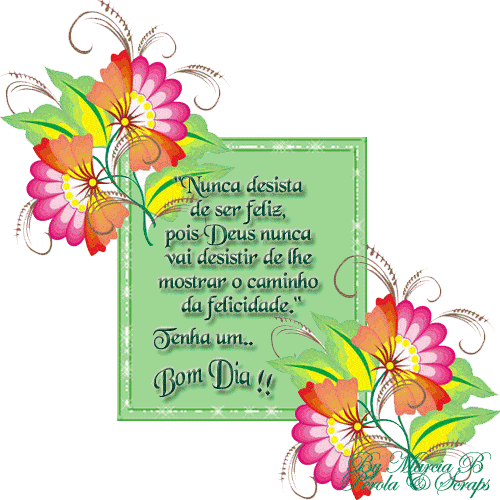 "Nunca desista de ser feliz, pois Deus nunca vai desistir de lhe...