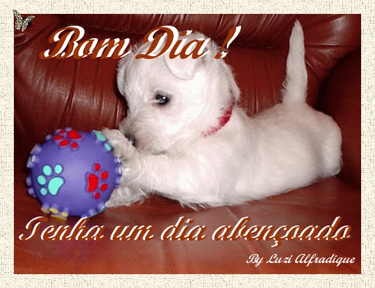 Bom Dia! Tenha um dia abençoado