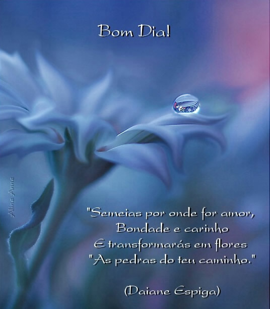Bom Dia! "Semeias por onde for amor, Bondade e carinho E...