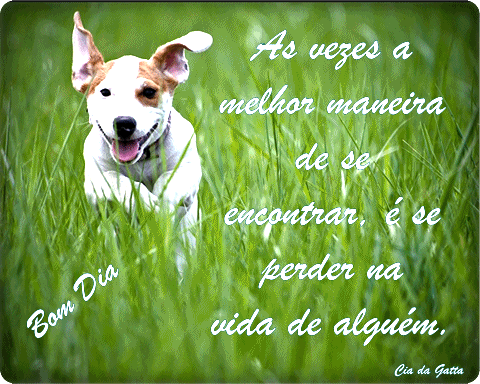 Bom Dia Às vezes a melhor maneira de se encontrar é se perder...