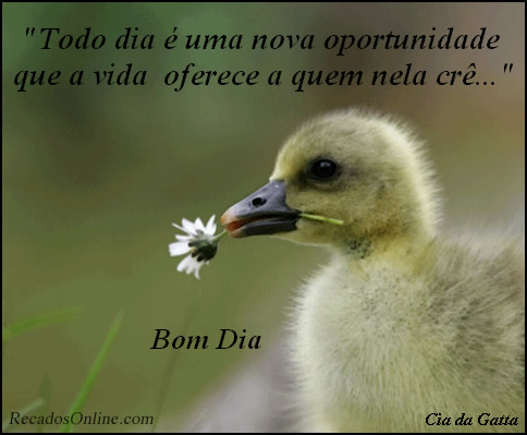 Todo dia é uma nova oportunidade que a vida oferece a quem nela...