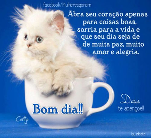 Abra seu coração apenas para coisas boas, sorria para a vida e...