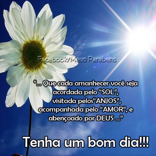 Que cada amanhecer você seja acordada pelo SOL, visitada pelos a...