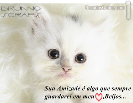 Sua amizade é algo que sempre guardarei em meu coração...