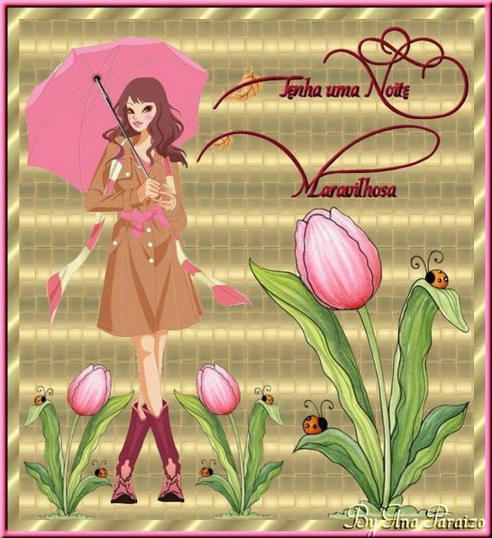 Tenha uma noite maravilhosa