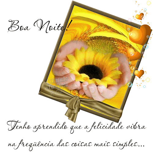 Boa Noite! Tenho a aprendido que a felicidade vibra na frequência das...