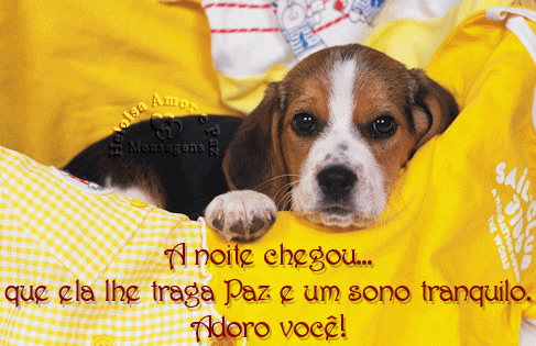 A noite chegou... que ela lhe traga paz e um sono tranquilo. Adoro você!