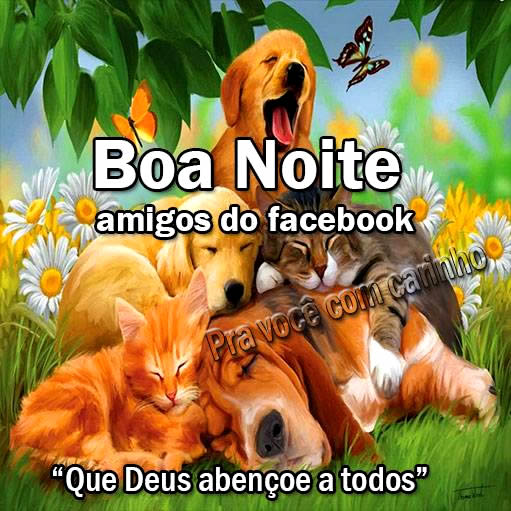 Boa Noite amigos do facebook Que Deus abençoe a todos