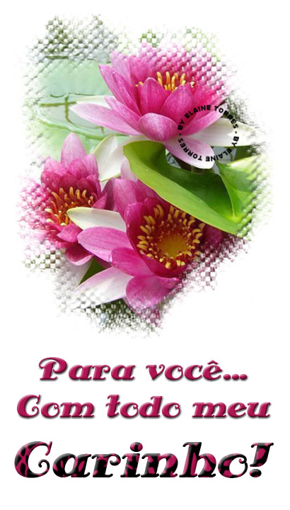 Pra você... Com todo meu Carinho!