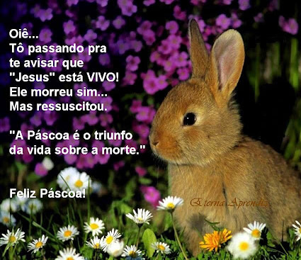 Oiê Tô passando pra te avisar que Jesus está Vivo! Ele...