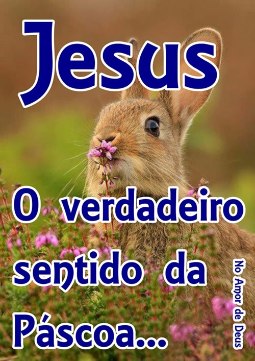 Jesus, o verdadeiro sentido da Páscoa...