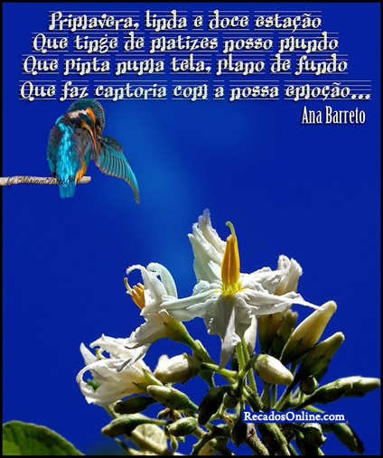 Primavera, linda e doce estação Que tinge de matizes nosso...