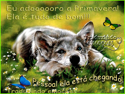 Eu adoro a Primavera! Ela é tudo de bom! Pessoal ela está...