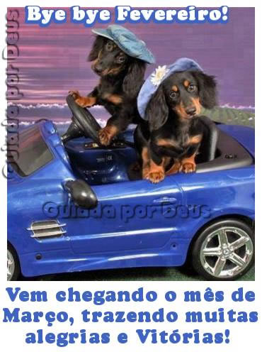 Bye bye, Fevereiro! Vem chegando o mês de Março trazendo muitas...