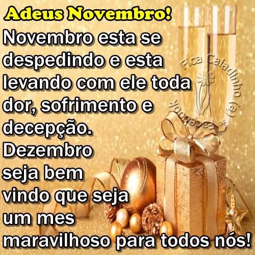 Adeus Novembro! Novembro está se despedindo e está levando com...