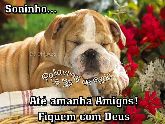 Soninho... Até amanhã, Amigos! Fiquem com Deus.