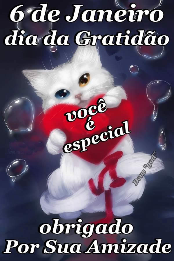 6 de Janeiro Dia da Gratidão. Você é especial, obrigado...