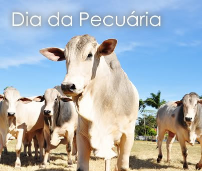 Dia da Pecuária