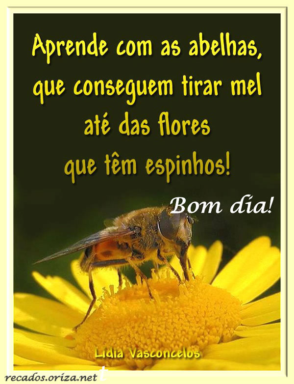 Aprende com as abelhas, que conseguem tirar mel até das flores que...