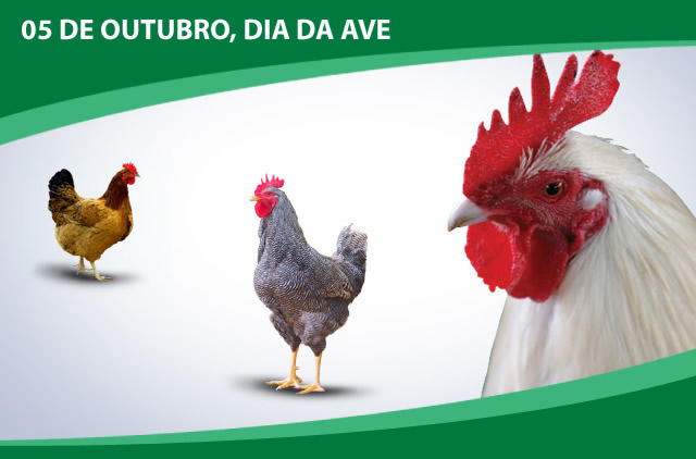 5 de Outubro - Dia Nacional da Ave