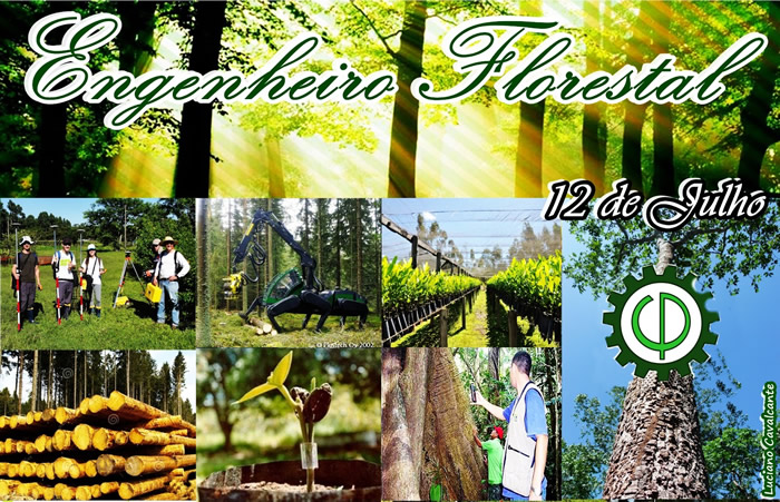 Engenheiro Florestal 12 de Julho