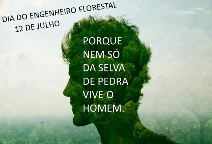 Dia do Engenheiro Florestal 12 de Julho. Porque nem só da selva de...