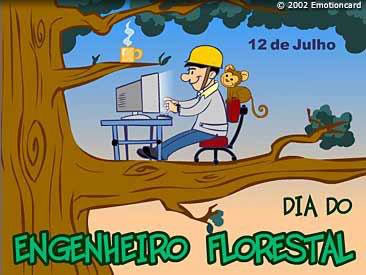 12 de Julho Engenheiro Florestal