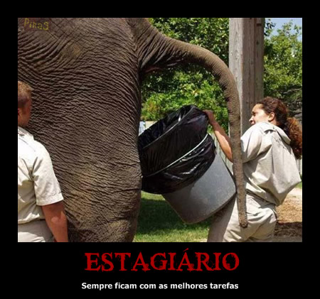 Estagiário Sempre ficam com as melhores tarefas