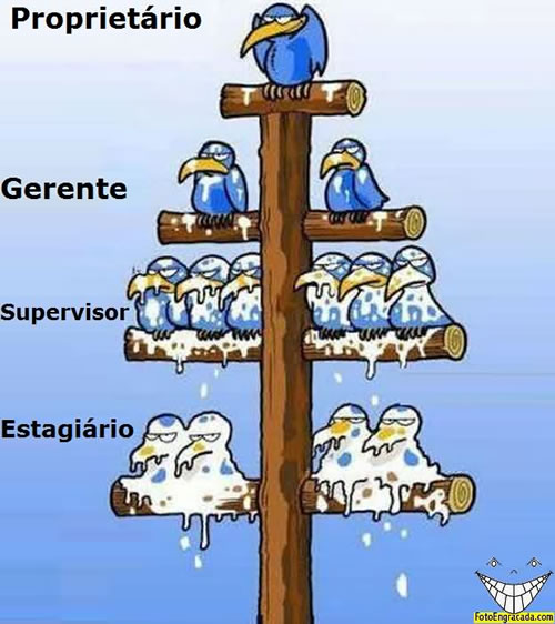 Proprietário Gerente Supervisor Estagiário