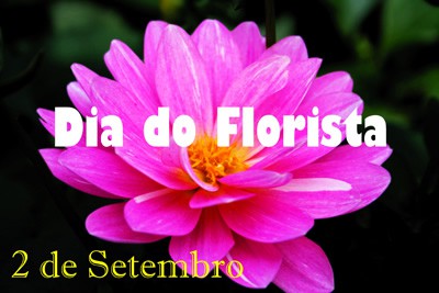 Dia do Florista 2 de Setembro