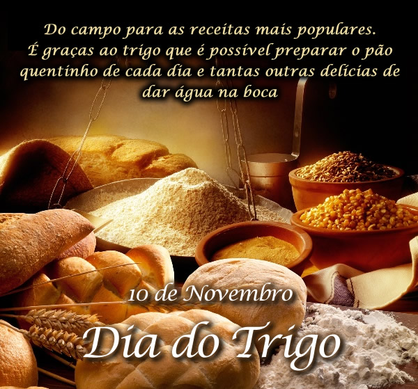 Do campo para as receitas mais populares. É graças ao trigo...