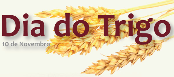 Dia do Trigo 10 de Novembro