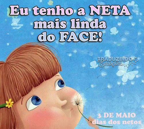 Dia dos Netos imagem 17