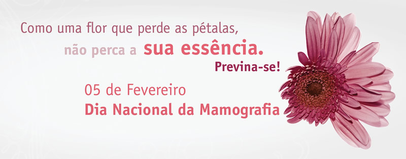 Como uma flor que perde as pétalas, não perca a sua...