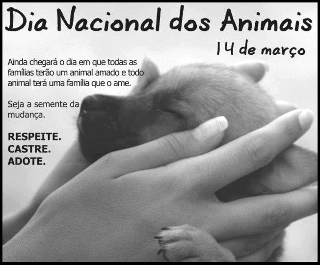 Dia Nacional dos Animais 14 de Março Ainda chegará o da em que...