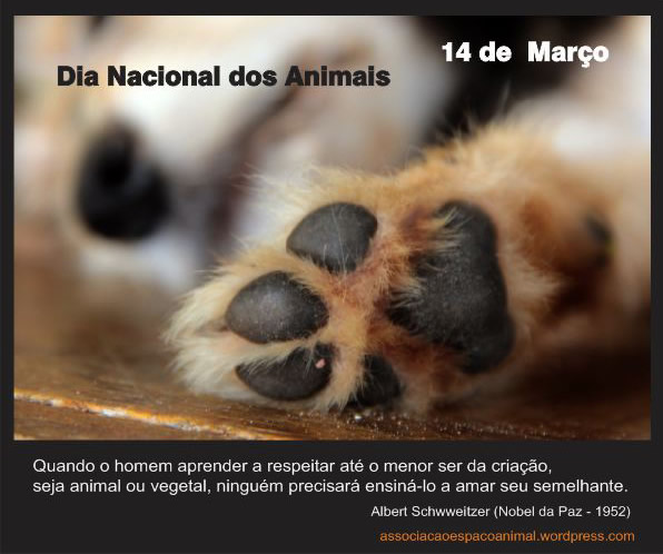 Dia Nacional dos Animais 14 de Março Quando o homem aprender a...