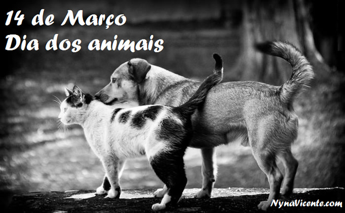 14 de Março Dia dos animais