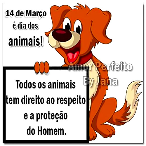 14 de Março é Dia dos Animais! Todos os animais tem direito ao...